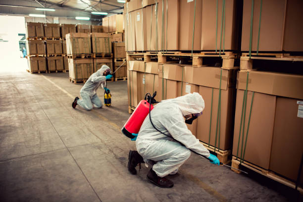Best Rat Extermination Near Me  in Glenmoor, OH
