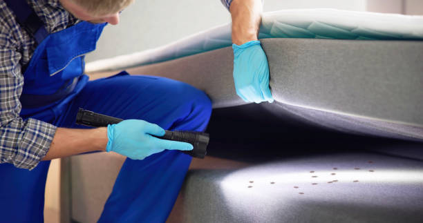 Best Ant Control Services  in Glenmoor, OH