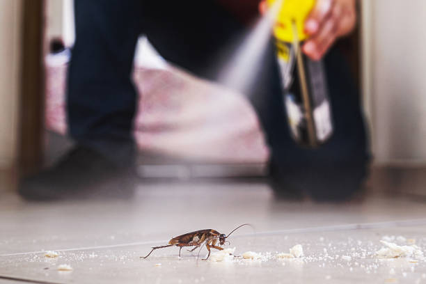 Best Emergency Pest Control  in Glenmoor, OH