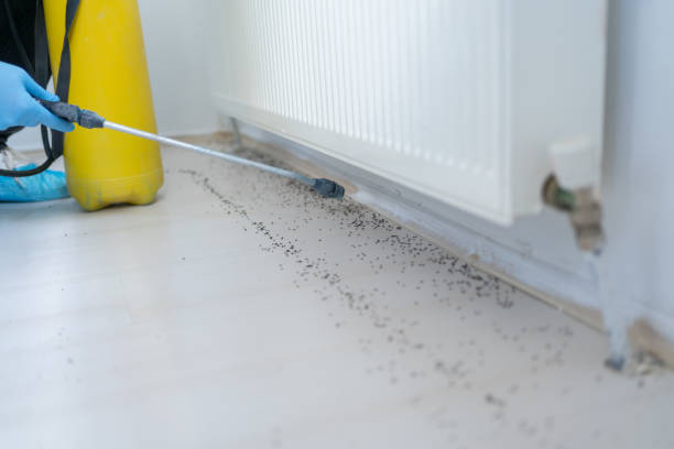 Best Mosquito Control Services  in Glenmoor, OH