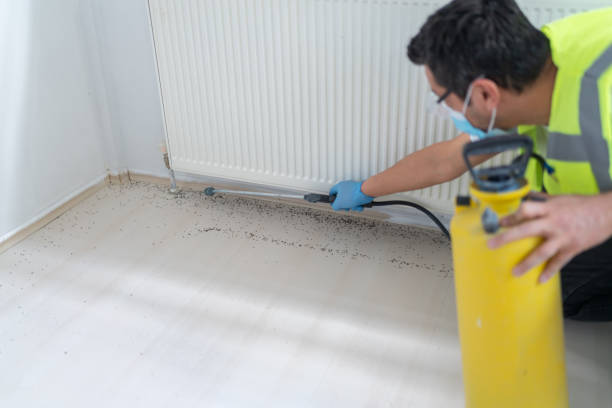 Best Pest Removal Services  in Glenmoor, OH