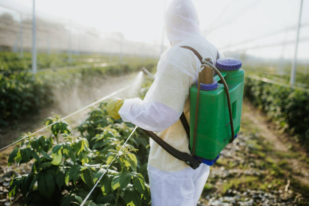 Best Termite Control Services  in Glenmoor, OH